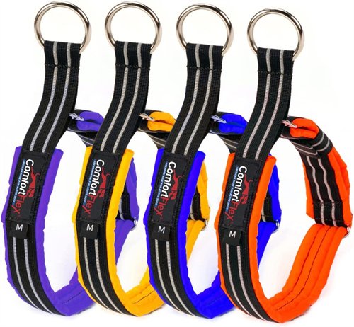 mejor collar para Husky