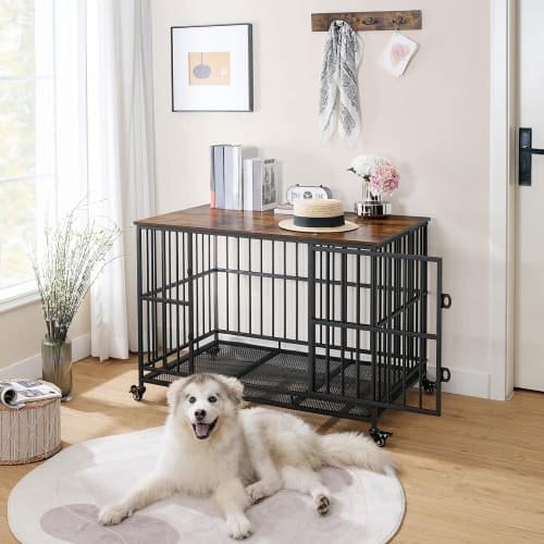 10 Best Crate for Husky