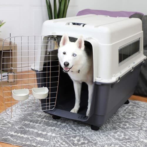 10 Best Crate for Husky