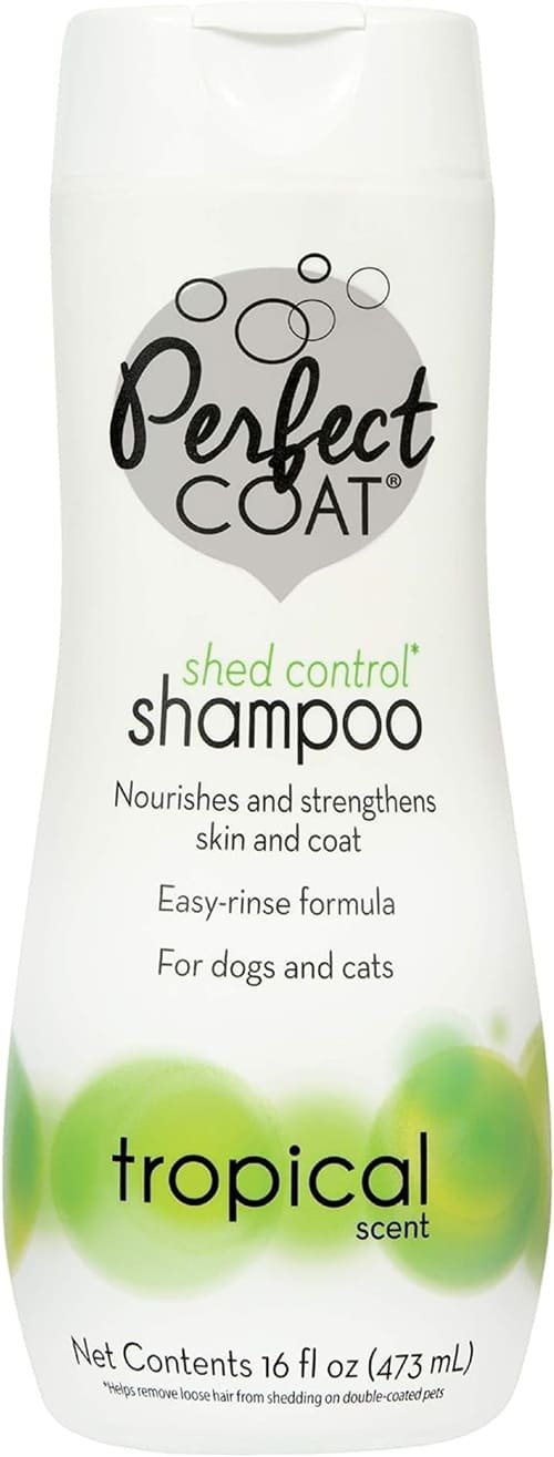 Il miglior shampoo per Husky