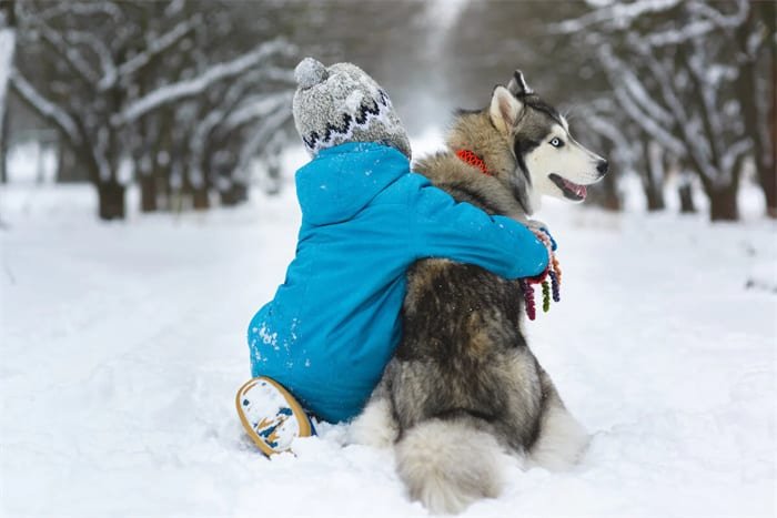 Os Huskies são bons com crianças